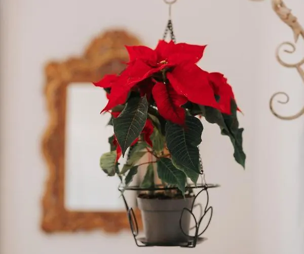 Apartamento Casa Da Catedral Jerónimo